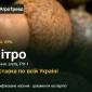 Купити вику Нітро на посів - фото № 1