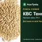 Озимый ячмень КВС Тенор — семена - фото № 1