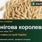 Ячмінь Снігова королева для посіву - фото № 1
