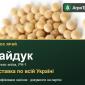 Купити ярий горох Гайдук на посів - фото № 1