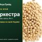 Насіння ярого гороху Оркестра - фото № 1