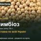 Насіння: горох ярий Симбіоз - фото № 1