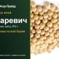 Царевич — ярий горох, насіння - фото № 1