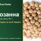 Купити нут Розанна на посів - фото № 1