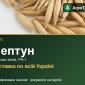 Насіння: овес Нептун - фото № 1