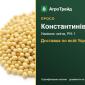 Насіння проса Константинівське - фото № 1