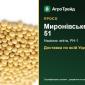 Купити просо Миронівське 51 на посів - фото № 1