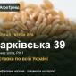Пшениця тверда яра Харківська 39 — насіння - фото № 1