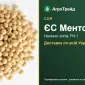 Соя ЄС Ментор — насіння - фото № 1