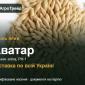 Ячмінь ярий Аватар — насіння - фото № 1