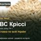 Насіння: ячмінь ярий КВС Кріссі - фото № 1