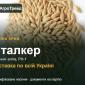 Купити ярий ячмінь Сталкер на посів - фото № 1