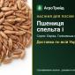 Продам насіння спельти та полби - фото № 1