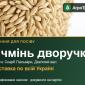 Продам насіння ячменю дворучки - фото № 1