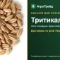 Продам семена тритикале - фото № 1