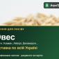 Продам насіння вівса - фото № 1