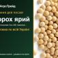 Продам насіння ярого гороху - фото № 1