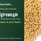 Продам насіння гірчиці - фото № 1