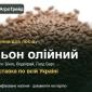 Продам насіння олійного льону - фото № 1