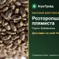 Продам насіння розторопші плямистої - фото № 1