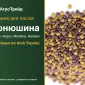 Продам семена клевер - фото № 1