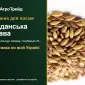 Продам семена суданской травы - фото № 1