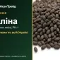 Фацелія Аліна - фото № 1