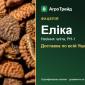Фацелія Еліка - фото № 1