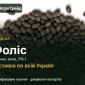 Фоліс — фацелія, насіння - фото № 1