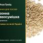 Продам: газонна травосумішка універсальна - фото № 1