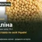 Продам насіння гірчиці Аліна - фото № 1