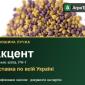Купити насіння конюшини лучної Акцент - фото № 1