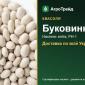 Квасоля Буковинка - фото № 1