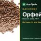 Орфей — льон олійний, насіння - фото № 1