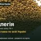 Люцерна Елегія - фото № 1