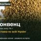 Люцерна Конвенц - фото № 1