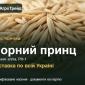 Продам насіння чорного вівса Чорний принц - фото № 1