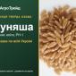 Насіння твердої озимої пшениці Дуняша - фото № 1