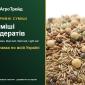 Покривні суміші сидератів — насіння - фото № 1