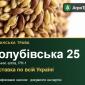 Насіння суданської трави Голубівська 25 - фото № 1