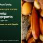 Суміш сидератів Мікс Light soil — насіння - фото № 1