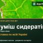 Суміш сидератів Мікс Raps-clean — насіння - фото № 1