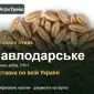 Тритикале озиме Павлодарське - фото № 1