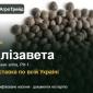 Купити насіння вики Єлізавета - фото № 1