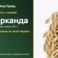 Насіння озимого ячменю Арканда - фото № 1