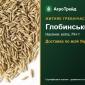 Глобинський — житняк гребінчастий, насіння - фото № 1