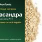Купити насіння костриці червоної Касандра - фото № 1