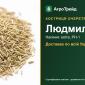 Купити насіння костриці очеретяної Людмила - фото № 1