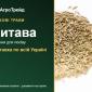 Купити насіння злакових трав Витава - фото № 1