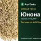 Купити насіння мітлиці тонкої Юнона - фото № 1